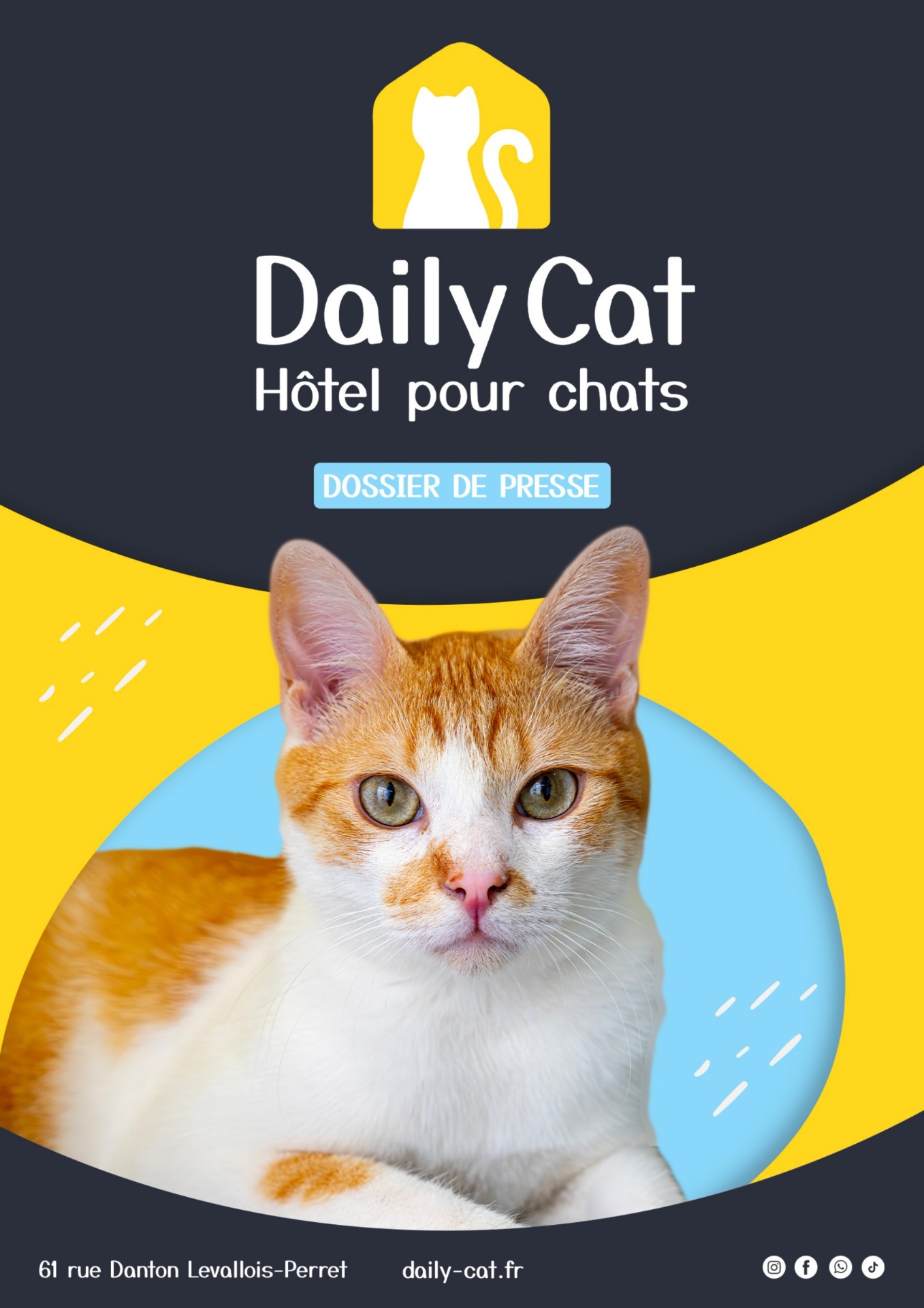 dossier de presse daily cat 1 page 0001